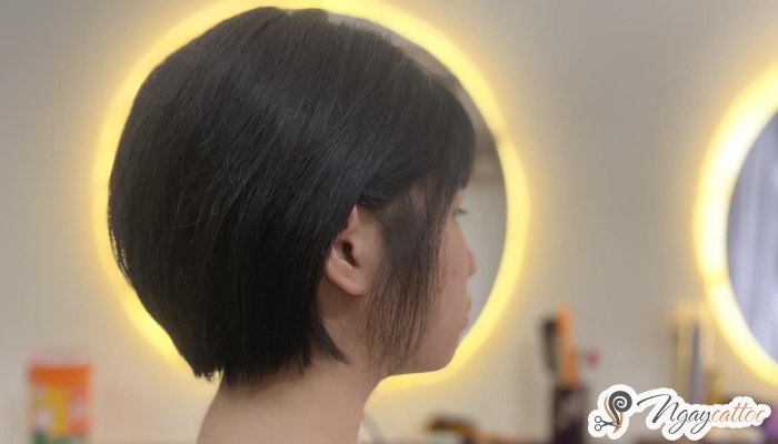 Salon cắt tóc tỉnh Yên Bái chuyên nghiệp nhất